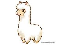 alpaca