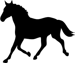 horse5