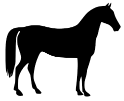 horse6