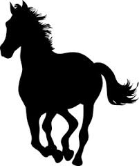 horse7