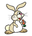 rabbit