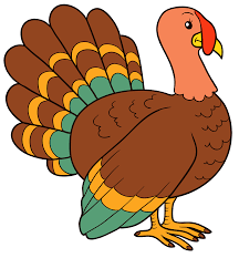 turkey