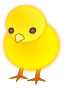 yyycatch-chick